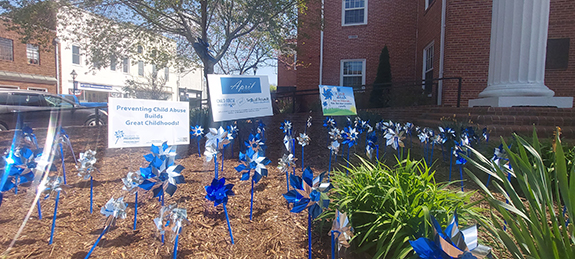 SHINING LIGHT ON AWARENESS