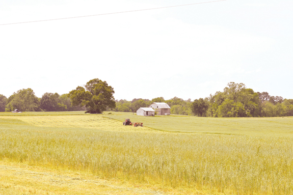 Are county's new zoning rules 'weaponized'?