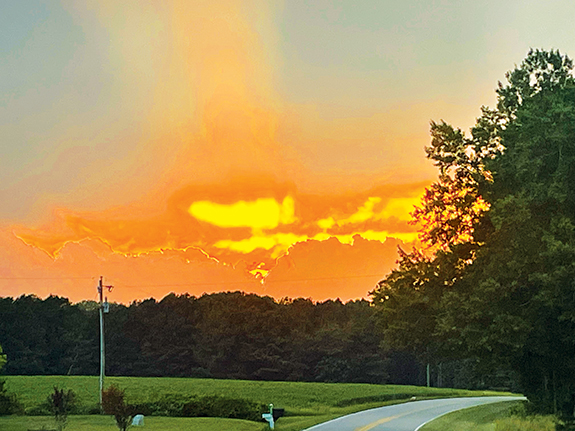NATURE'S AERIAL SHOW