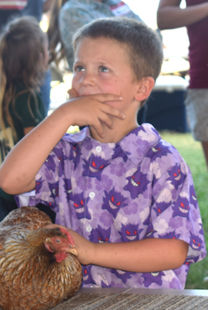 FRANKLIN FACE
