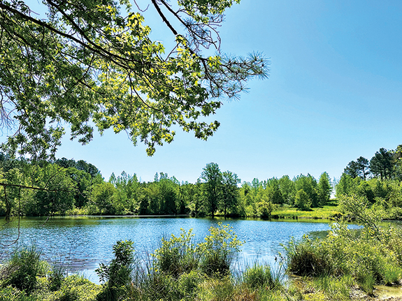 <i>Grant to create county's first nature preserve</i>