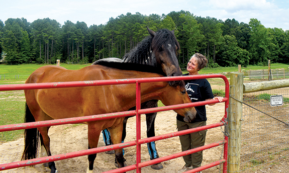 <i>This year's annual horse tour putting focus on education</i>