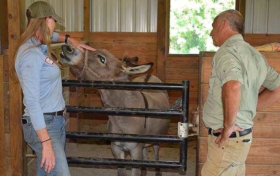 <i>Farm tour puts focus on horses as an industry, job creator</i>