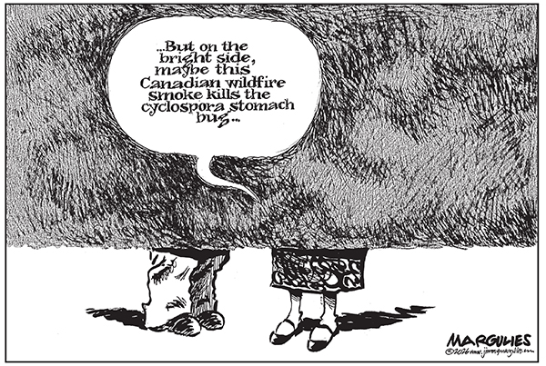 Ediitorial Cartoon: Smoke